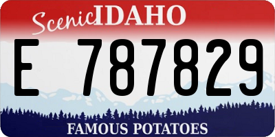 ID license plate E787829