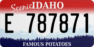 ID license plate E787871