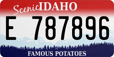 ID license plate E787896