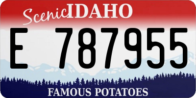 ID license plate E787955