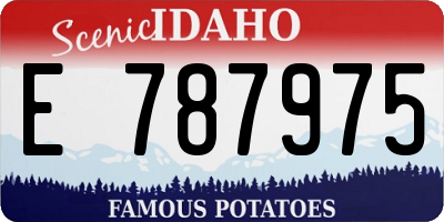 ID license plate E787975
