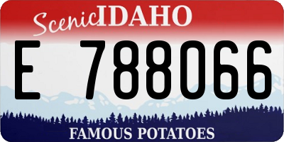 ID license plate E788066