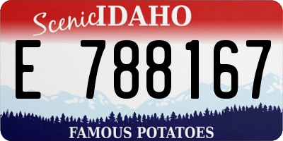 ID license plate E788167