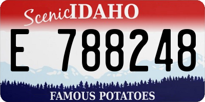 ID license plate E788248