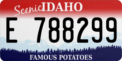 ID license plate E788299