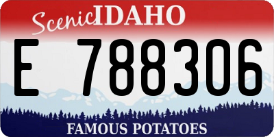 ID license plate E788306