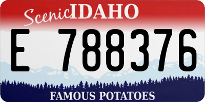 ID license plate E788376
