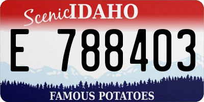 ID license plate E788403