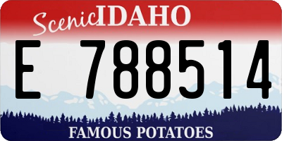 ID license plate E788514