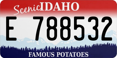 ID license plate E788532