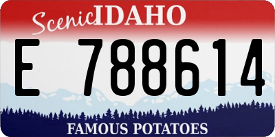 ID license plate E788614