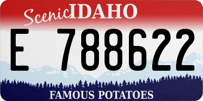 ID license plate E788622