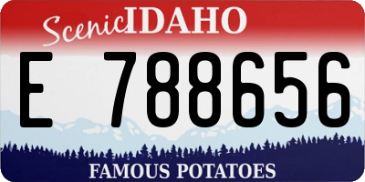 ID license plate E788656