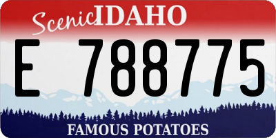 ID license plate E788775