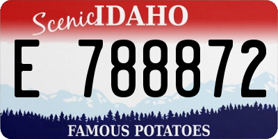 ID license plate E788872