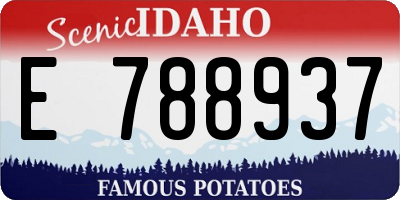 ID license plate E788937