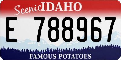 ID license plate E788967