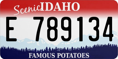 ID license plate E789134