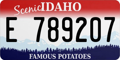 ID license plate E789207