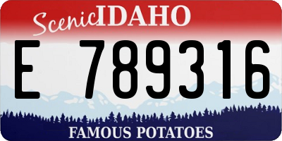 ID license plate E789316