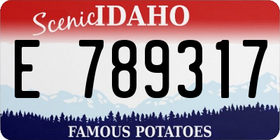 ID license plate E789317