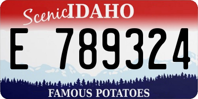 ID license plate E789324