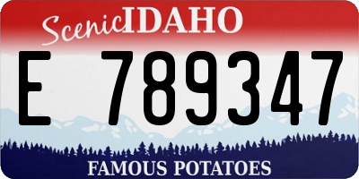 ID license plate E789347