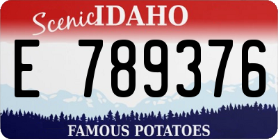 ID license plate E789376
