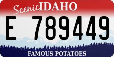 ID license plate E789449