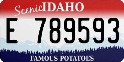 ID license plate E789593