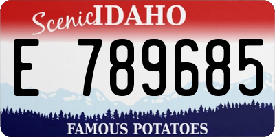 ID license plate E789685