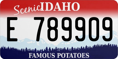 ID license plate E789909