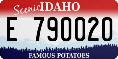 ID license plate E790020