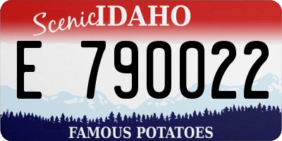 ID license plate E790022