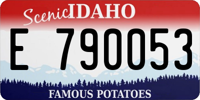 ID license plate E790053