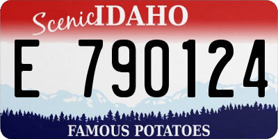 ID license plate E790124