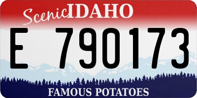 ID license plate E790173