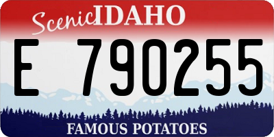 ID license plate E790255