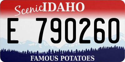 ID license plate E790260