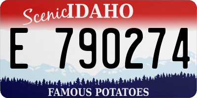 ID license plate E790274