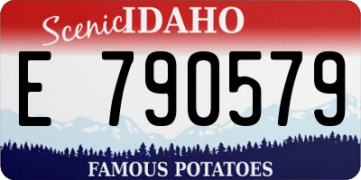 ID license plate E790579