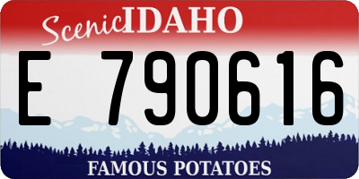 ID license plate E790616