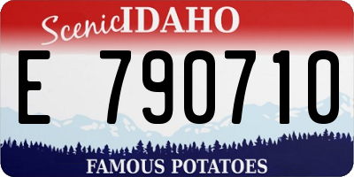 ID license plate E790710