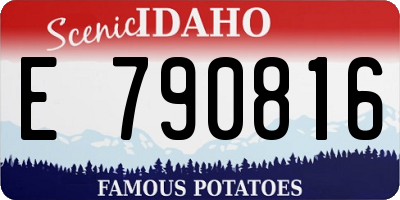 ID license plate E790816