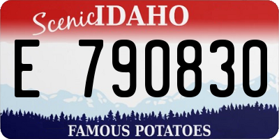 ID license plate E790830