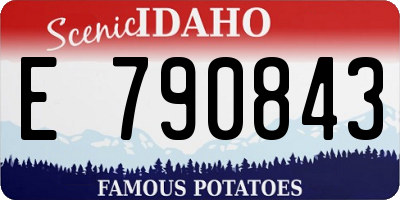 ID license plate E790843