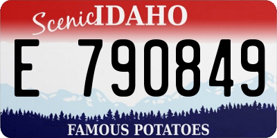 ID license plate E790849