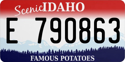 ID license plate E790863