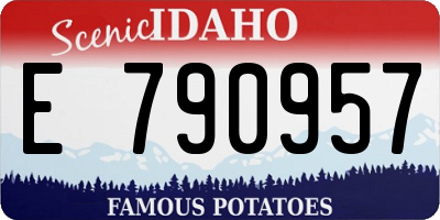 ID license plate E790957