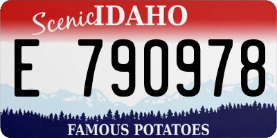 ID license plate E790978
